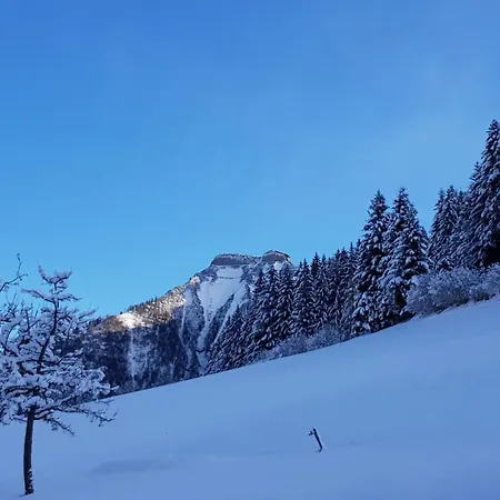 Reithuette Semesterbostad